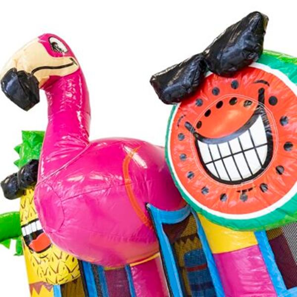 Mini Bounce Flamingo 5